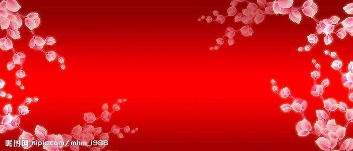 蒙纳许大学硕士成绩单