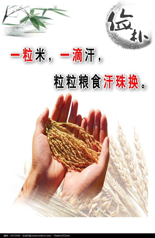 买假明尼苏达大学成绩单